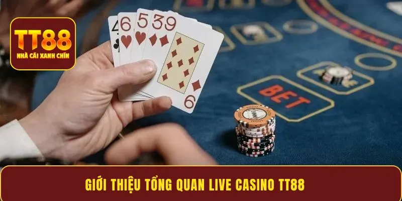 Giới thiệu tổng quan live casino tt88